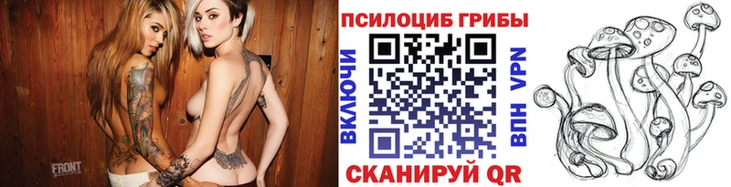 Псилоцибиновые грибы Cubensis площадка Telegram Сычёвка где купить наркоту